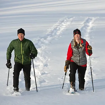 Bienvenue dans notre communauté dédiée à tous les amoureux de la nature hivernale ! 