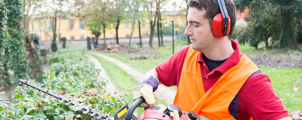 taille-de-haie-emondage-simard-laval-blainville-terrebonne-hedge-trimmer-laurentides-lanau
