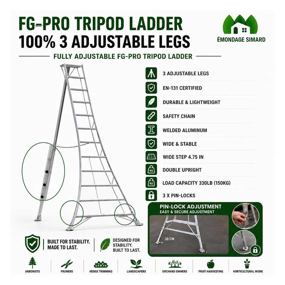 Miniature : FG PRO orchard apple ladder 16 feet - with 3 fully adjustable leg system hedge trimming
