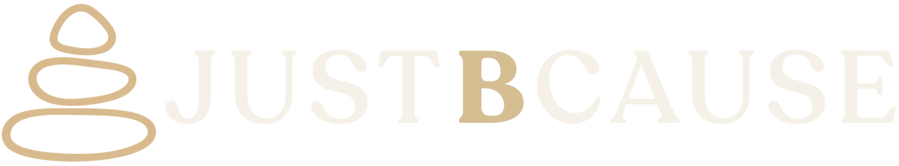 horizontal logo (light)_edited.png