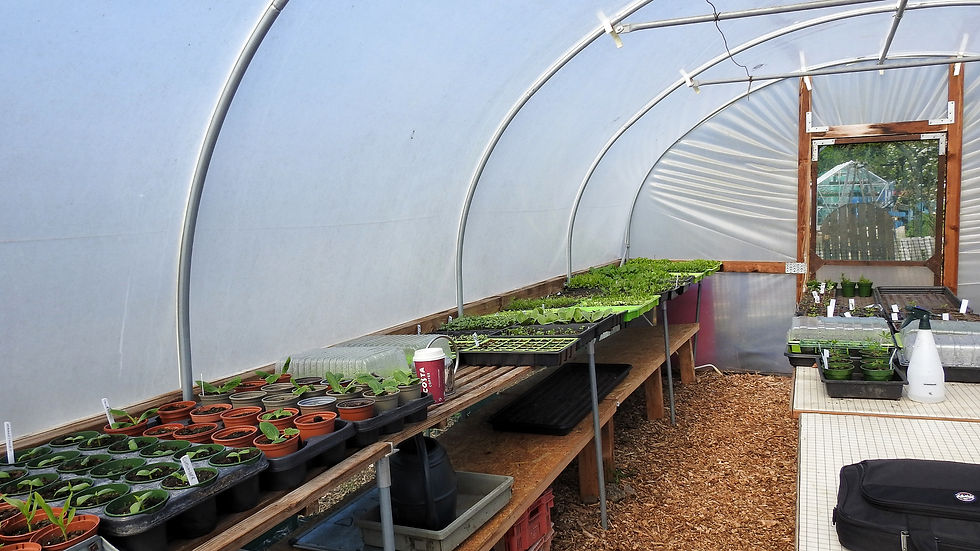 Uncover the Surprising Health Benefits of Gardening That Will Leave You Thrilled to Get Your Hands Dirty!