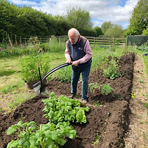 weeding on allotment.jpg