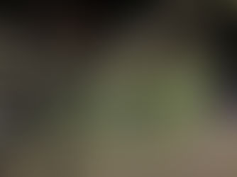 Einsatz Nr. 35, Sturmschaden