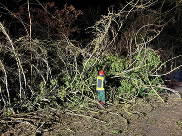 Einsatz Nr. 35, Sturmschaden