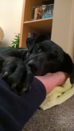 me and black lag.jpg