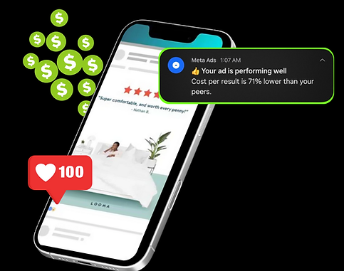 Social Ad Management PPC