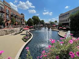 Columbus Sports Card Store