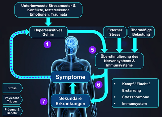 Symptom Kreislauf