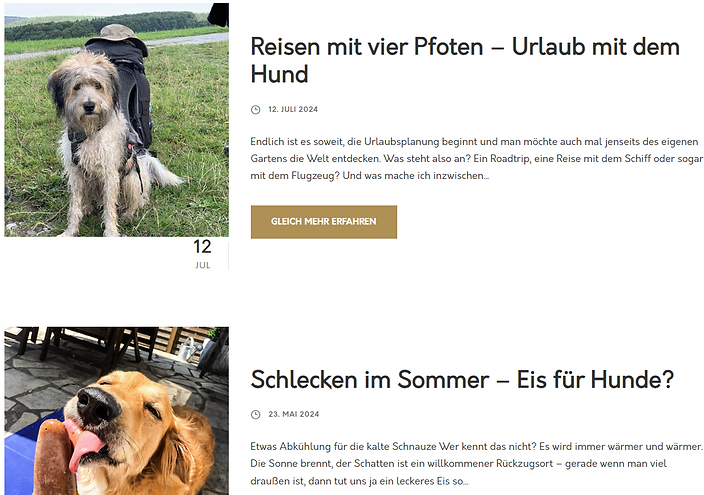 ansicht website mobil blog beitraege hundeladen kyritz mwi consulting