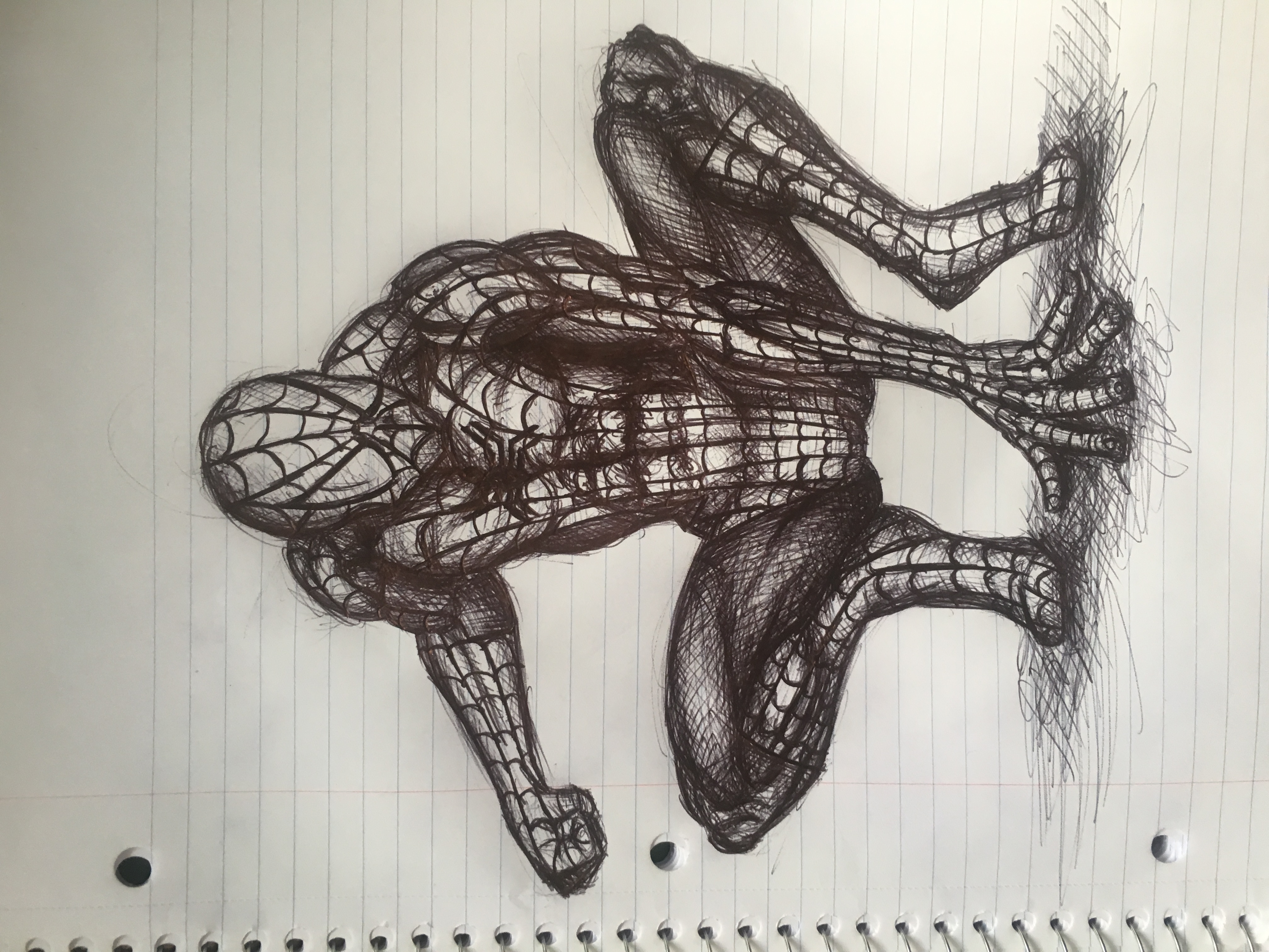 Spider-Man Sketch