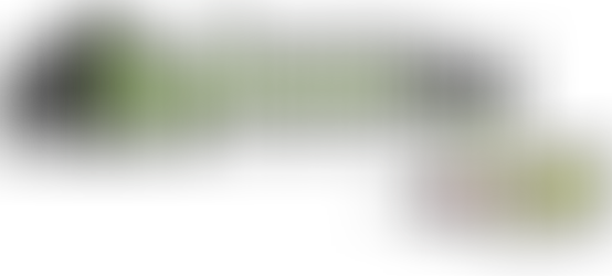 Hoosier Half Marathon Discount - Indiana