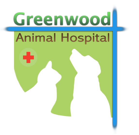 Greenwood sales vet clinic