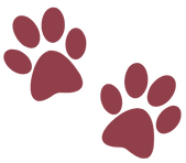 Paw 2 - TMBC