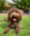 5A5C3C2B-1CB3-4AF6-A9BF-ADCA0413BED7.JPG