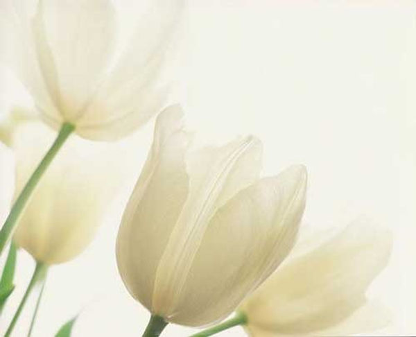 WhatsApp Image 2021-05-25 at 21.06.46.jp