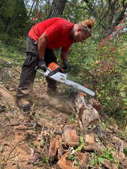 Your Trusted Arborist