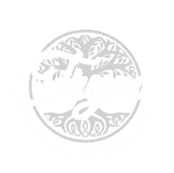 Trym Entertainment2-03.png