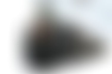 コープ共済　コーすけ