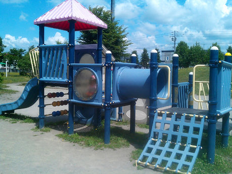 旭川市「豊岡アヤメ公園」