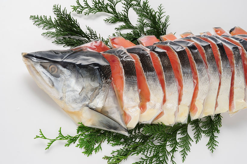 海産物　ギフト