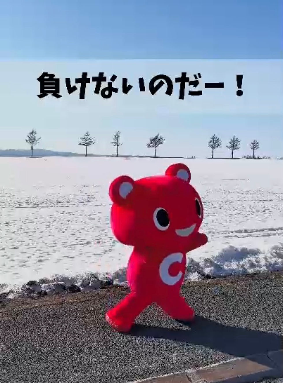 コープ共済　コーすけ
