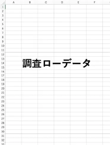 子育てに関する調査ローデータ