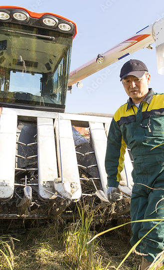 北海道　山田錦
