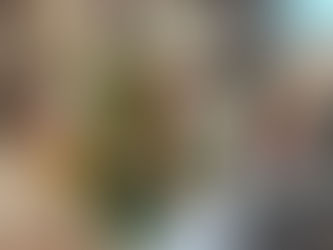 グランドオープンいたしました！