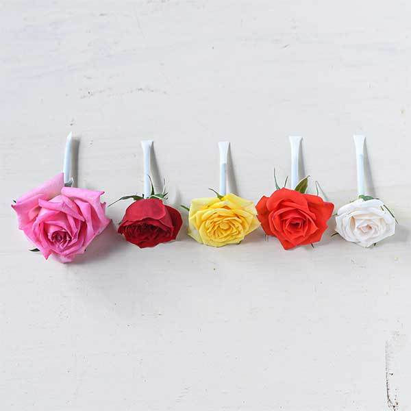 MixRose5輪