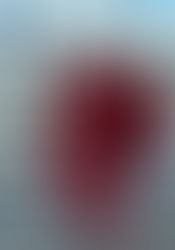 コープ共済　コーすけ