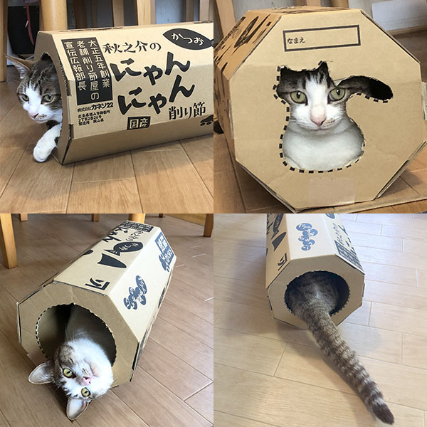削り節