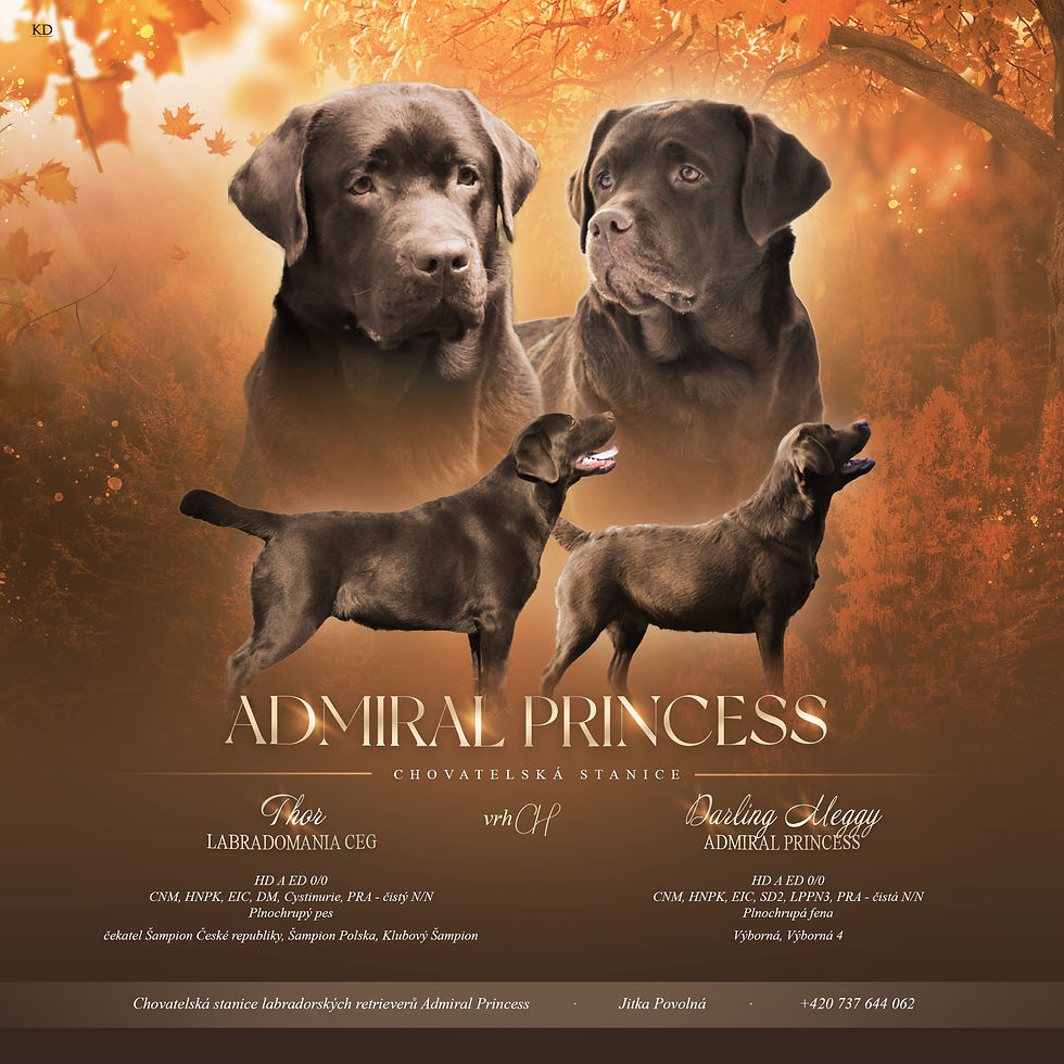 Admiral_Princess_-_vrh_CH