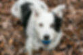 Chaser-All-Edits-18.jpg