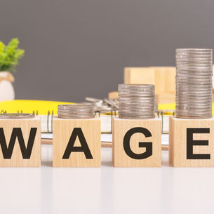 Expenses incurred to obtain employment were non-deductible