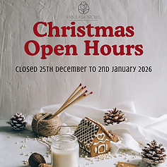 Red Neutral Minimalistic Christmas Business Open Hours Instagram Post.PNG