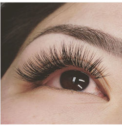2D-4D Volume Lash Extension