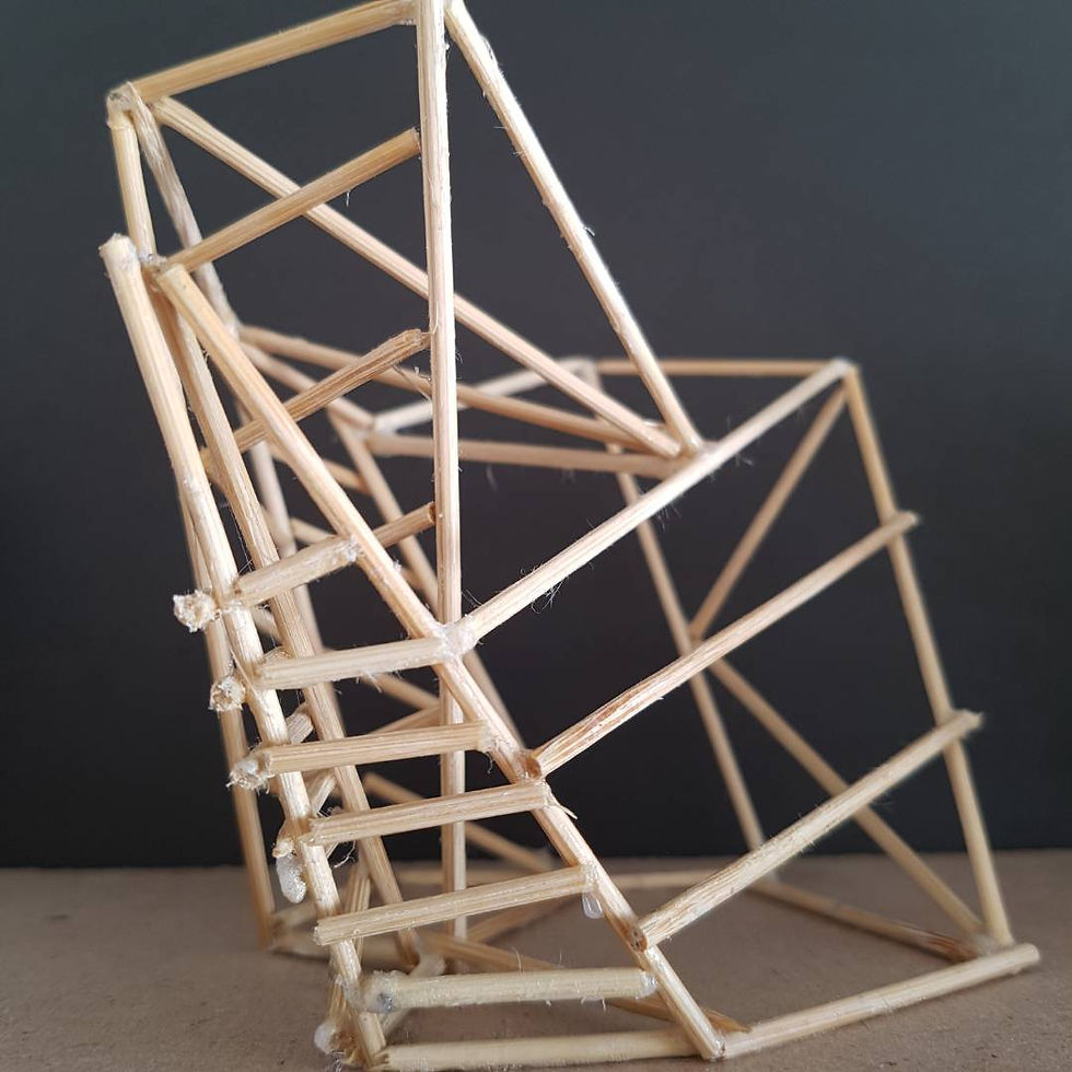 Skeleton front view