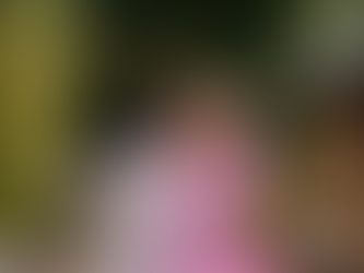 Portrait Photography in Tokyo: The Ultimate Guide to Capturing Perfect Moments