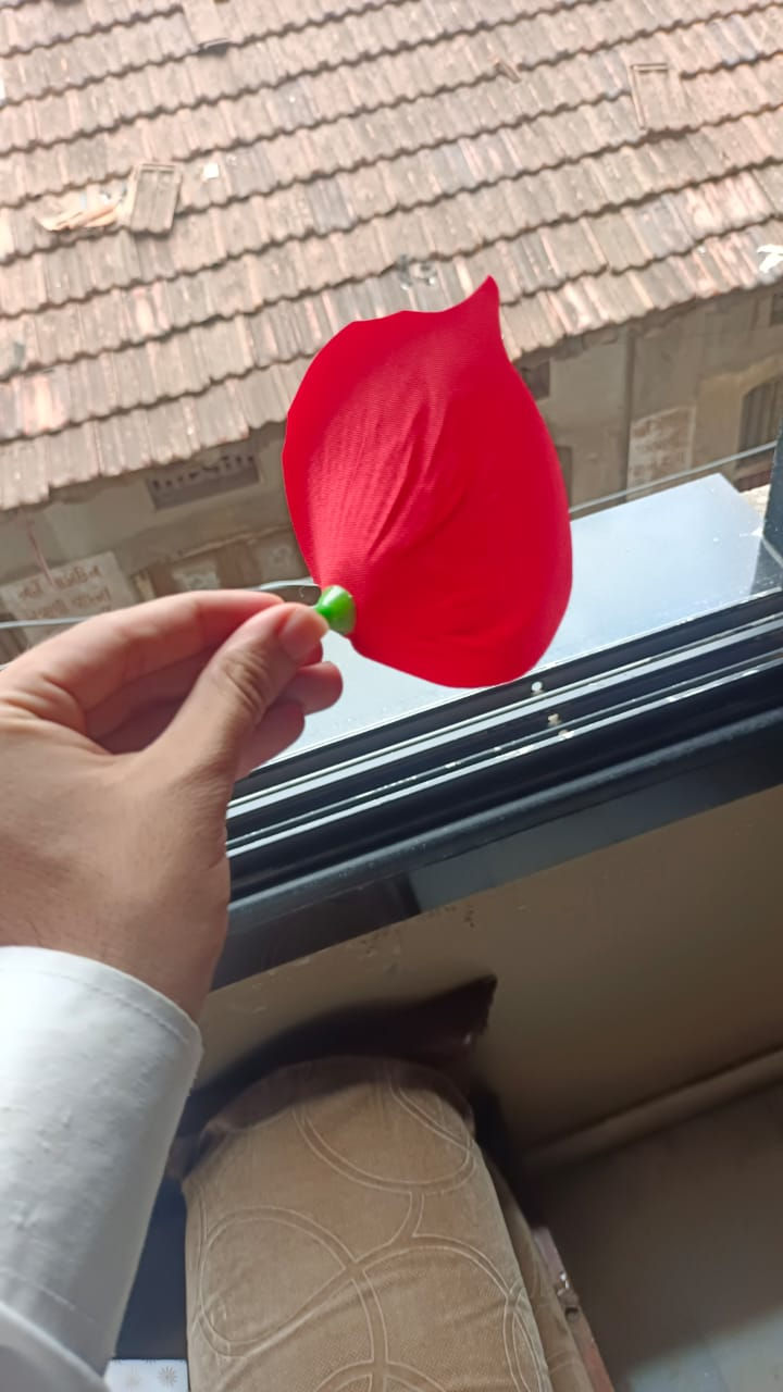 Thumbnail: Petals