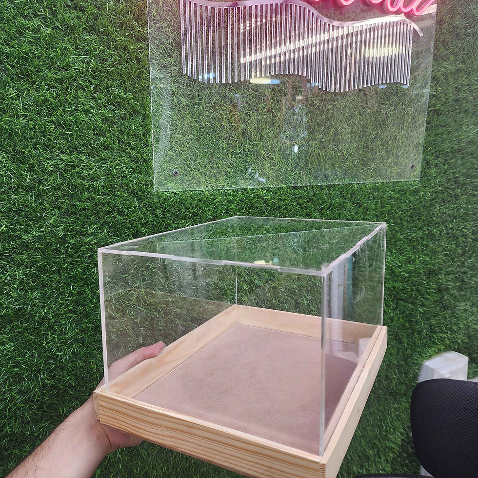 Acrylic wooden box