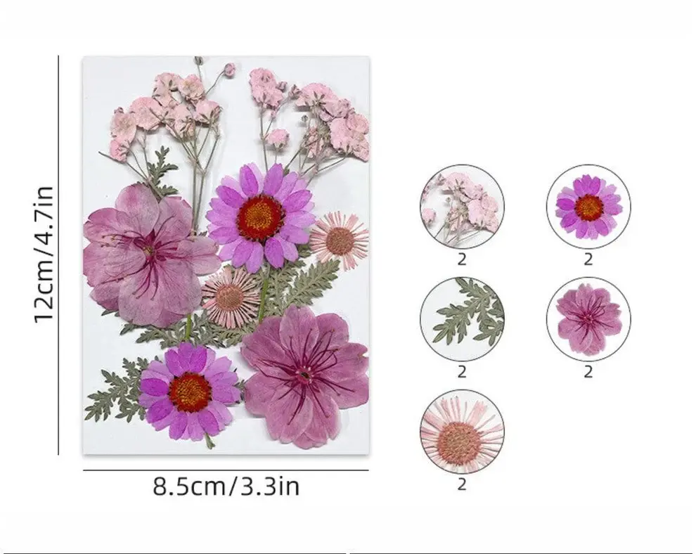 10 IN 1 pressed flower FL172
