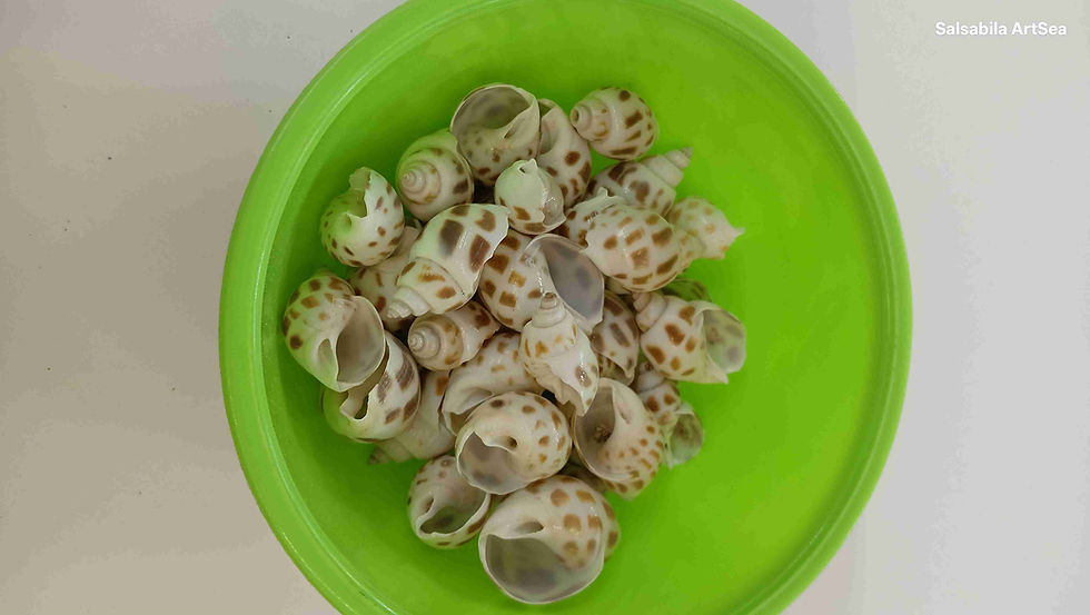 SHELLS SHMALL FORIGEN PUTA MUTTAL