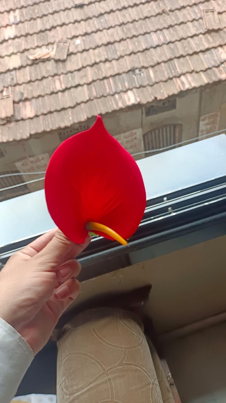 Thumbnail: Petals