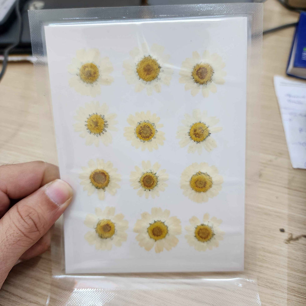 DRIED FLOWER PRESS RESIN