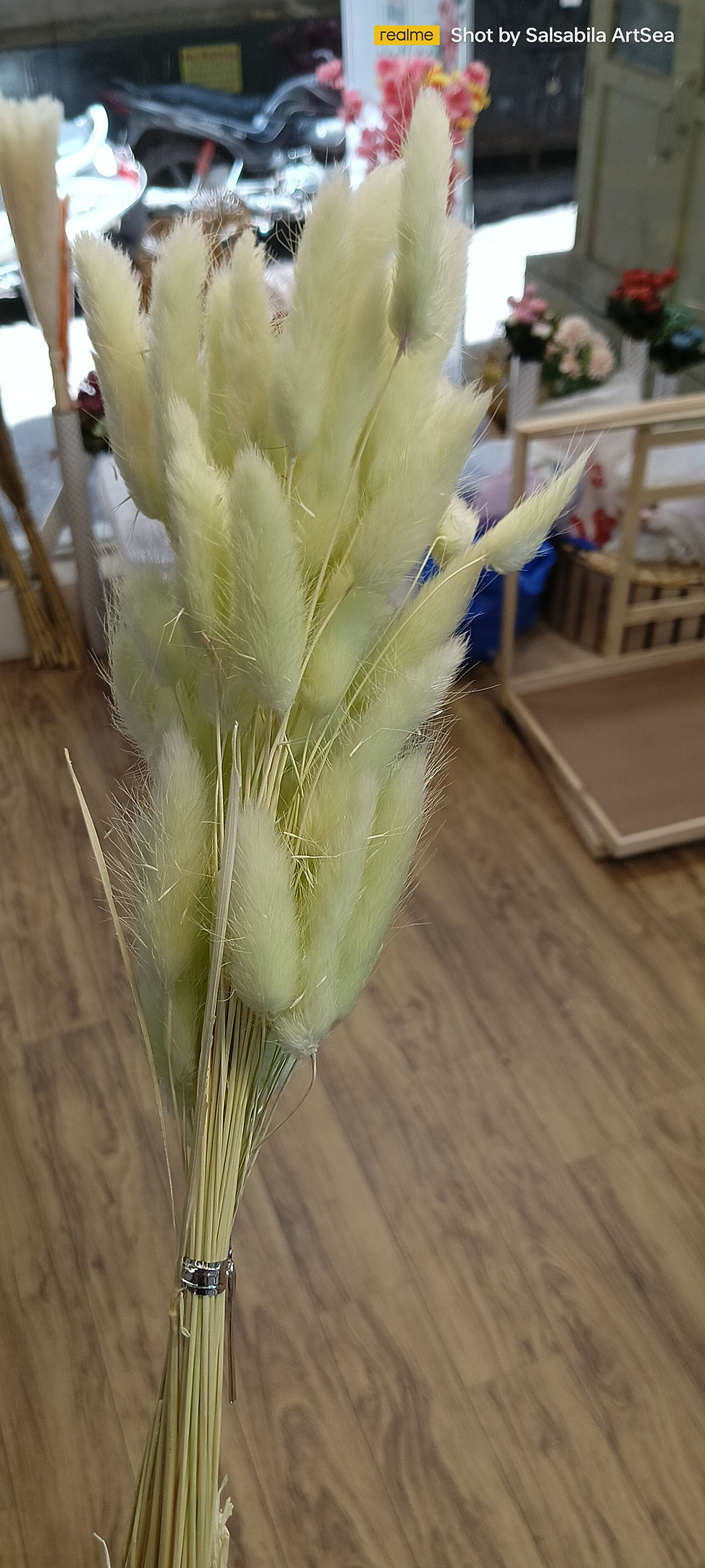 Thumbnail: Bonitail pampas grass