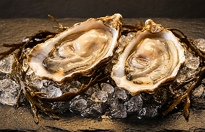 Buy Speciales De Claire Oysters online Singapore
