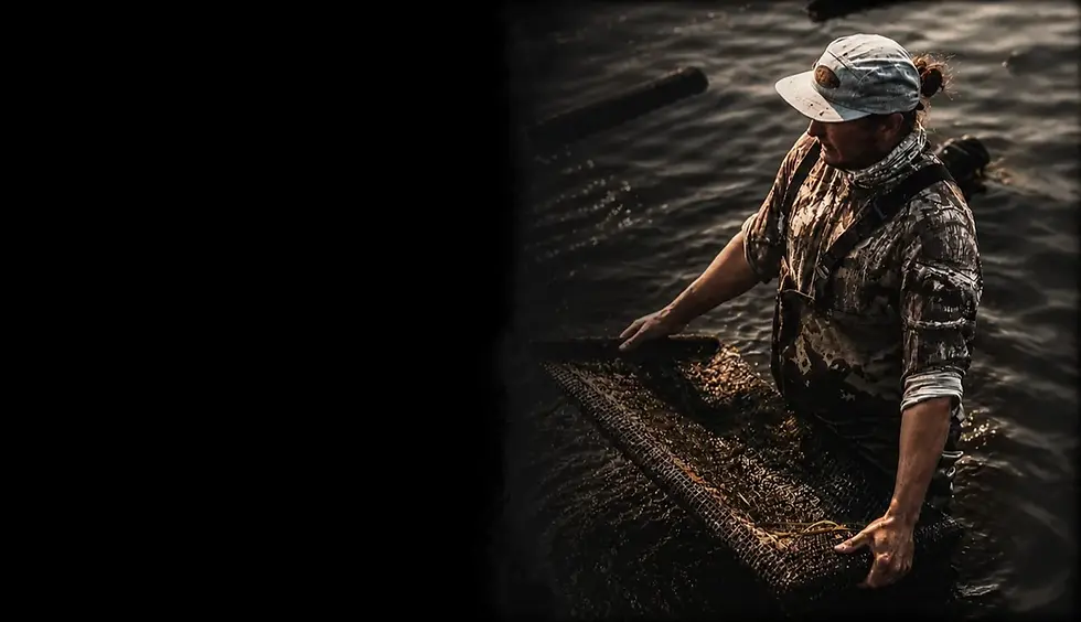 oyster_farmer_web.webp