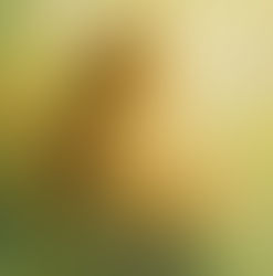 A perfeição de Deus