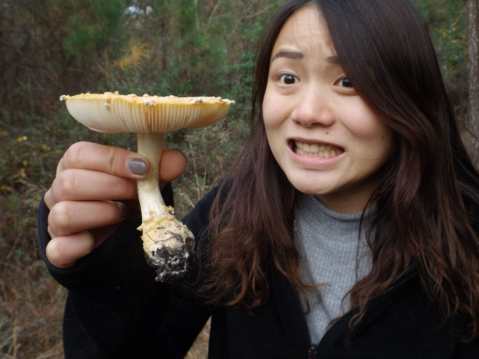 38391573_2229102480440487_5956692333255720960_n