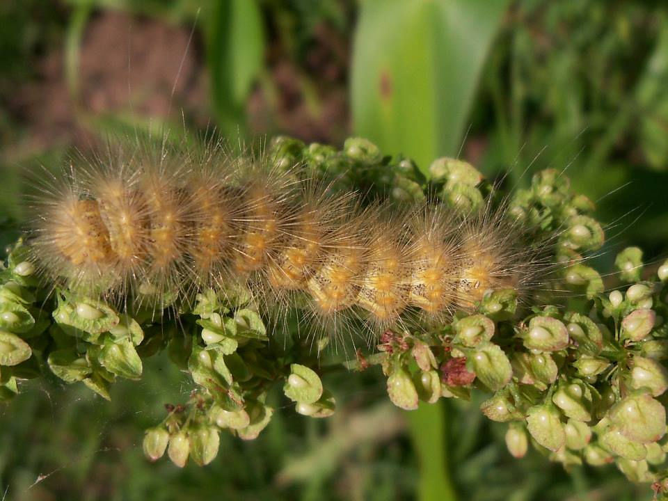 8539_672365582780859_1432461441_n